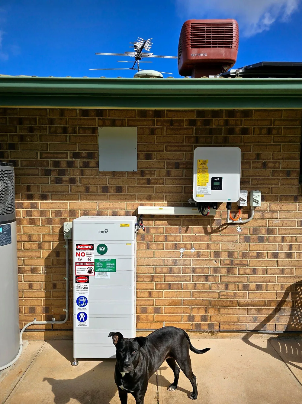 A stacked battery and a wall mounted inverter on a brick wall, with a black dog standing in front